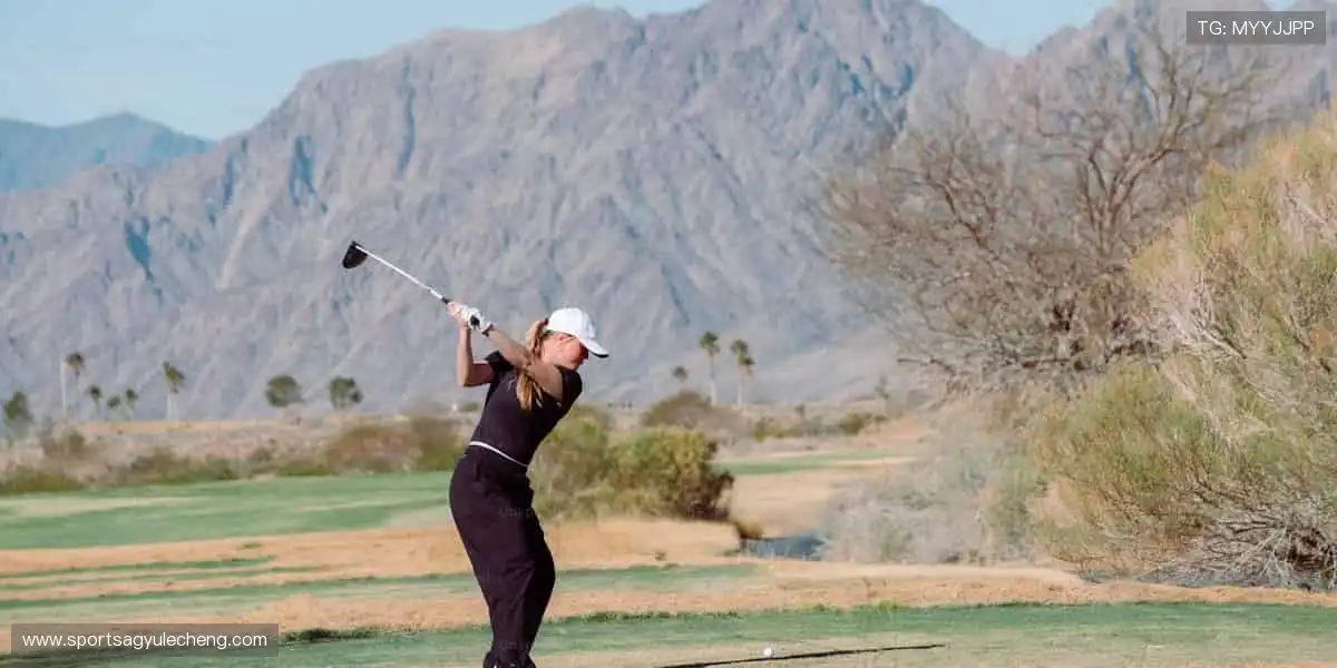 棒球职业联赛投注：精准数据实时分析，全垒打助你赢大奖